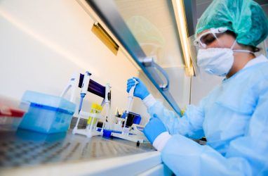 Власти Приморья фиксируют высокую загруженность лабораторий на фоне роста числа заболевших COVID-19
