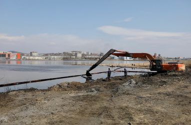Ущерб от разлива нефтепродуктов в озере Солёное в Приморье оценили в 2,5 млн рублей