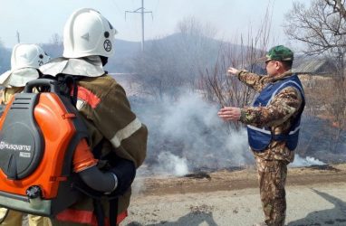 В Приморье выявили 51 поджигателя сухой растительности — МЧС