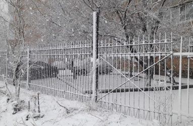 Снегопад накроет Приморье 12-13 января