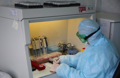 Во Владивосток поставят ещё 560 наборов реагентов для определения антител к COVID-19