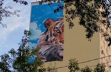 Владивостокскую «Гостинку-самолёт» украсят «тигриным» граффити