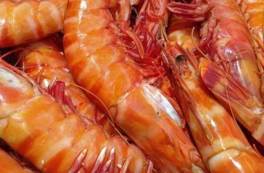 В Приморье уничтожат более 80 килограммов морских деликатесов