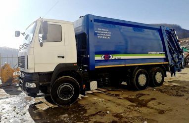 На вывоз мусора в двух районах Владивостока направили свыше 13 млн рублей