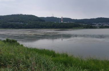 Активисты обратили внимание губернатора Приморья на загрязнение озера Солёное