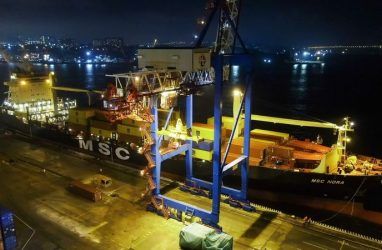 Владивостокский морской торговый порт включили в сервис Golden Horn судоходной компании MSC