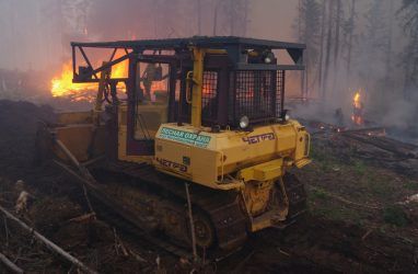 В Приморье горело 750 гектаров земель лечебной территории «Ясное»