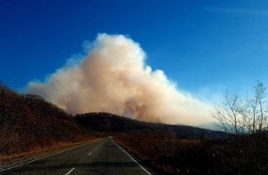 В Приморье огонь за сутки прошёл 69 гектаров леса