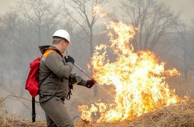 Прокуратура проверяет информацию о крупном пожаре в природном парке в Приморье