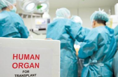 В Приморье начнут проводить операции по трансплантологии