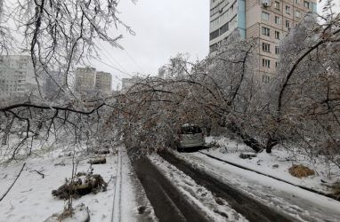 Снежный циклон вновь ожидается во Владивостоке. Подробности