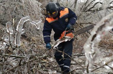 На чистку снега и распил деревьев во Владивостоке направят более 600 человек — мэрия
