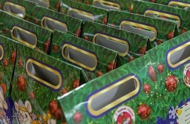 Бесплатные новогодние подарки в Приморье раздадут детям от трёх лет