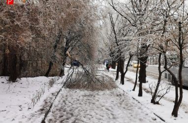 Жителей Владивостока предупредили о снегопаде с метелью