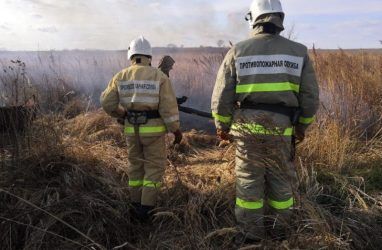 За сутки в Приморье потушили порядка 155 га природных пожаров