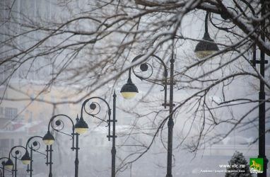 В День метеоролога, 23 марта, во Владивостоке ожидается дождь