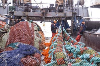Уже больше месяца не могут выгрузить рыбу в китайском порту 10 российских судов