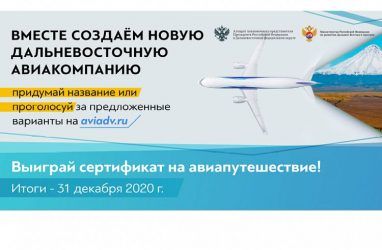 Приморцам предложили выбрать название для Единой региональной авиакомпании