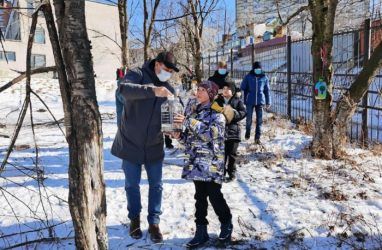 Спасение птиц: школьники Владивостока сделали сотню кормушек и развесили их по району