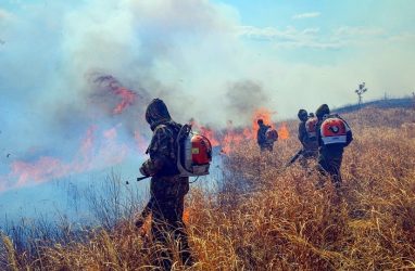 Свыше тысячи гектаров леса горело в Приморье в начале мая