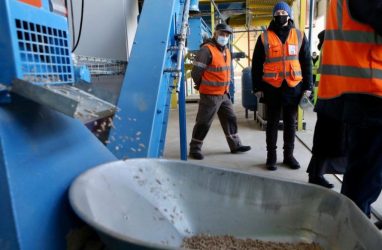 В Приморье запустили производство топливных пеллетных гранул