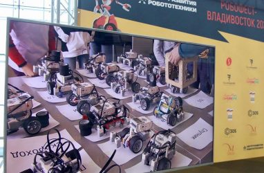 «ДронРэйсинг» и «Сумо»: во Владивостоке состоялись соревнования по робототехнике