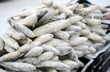 Свыше 170 кг сомнительных морепродуктов и рыбы уничтожат в Приморье