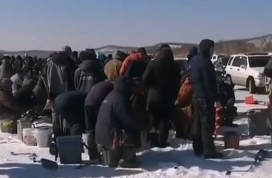 «Такое в первый раз вижу»: небывалый ажиотаж на льду в Приморье записали на видео