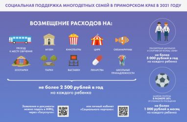 Многодетным приморцам с низкими доходами выплатят 160 млн рублей в 2021 году