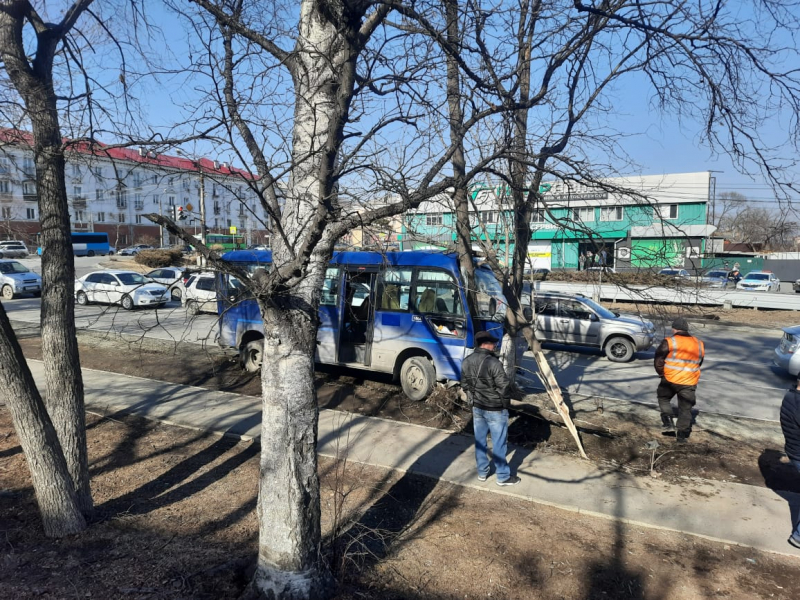 В Приморье автобус с людьми «влетел» в дерево