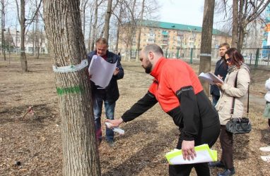 Обновлённый детский парк «Артёмка» в Приморье получит дендропарк