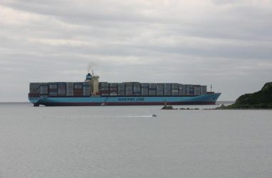 Крупным контейнеровозам дали скидку на портовые услуги во Владивостоке