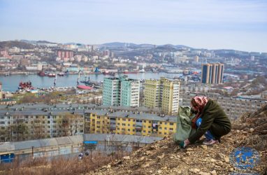 Субботник устроят на сопке Бурачка во Владивостоке