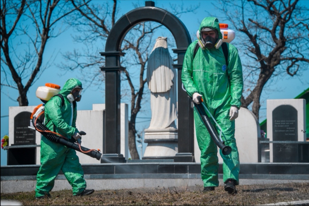 Во Владивостоке проведут обработку кладбищ от клещей