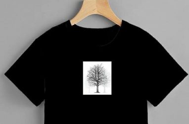 Во Владивостоке помочь с высадкой деревьев предложили покупкой дизайнерских футболок