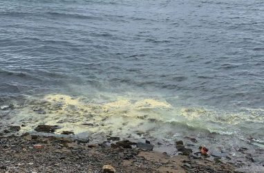 Жители Владивостока пожаловались на жёлтый цвет морской воды