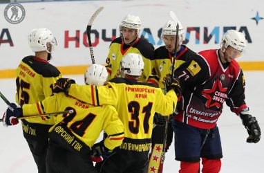 Хоккеисты-любители из Приморья вновь отличились на всероссийском уровне