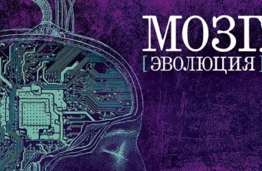 «Мозг. Эволюция»: во Владивостоке в кино будут говорить с нейрохирургом (12+)