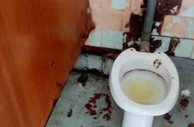 Туалет ещё одной школы Владивостока могут признать самым страшным в России