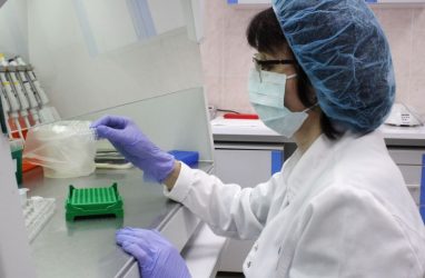 В Приморье в расследовании краж помогла геномная экспертиза