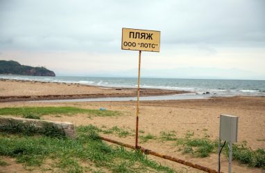 Во Владивостоке будут выяснять, почему вода в бухте Шамора такая грязная уже пять лет