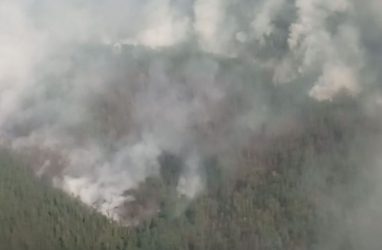 В Приморье горит лес в нацпарке «Бикин»