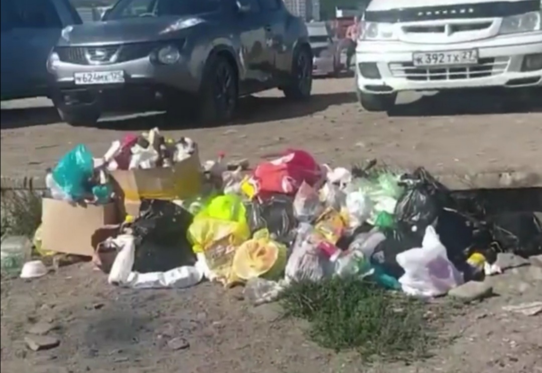 «Люди, вы почему такие свиньи?!»: мусорная свалка на пляже во Владивостоке возмутила мужчину