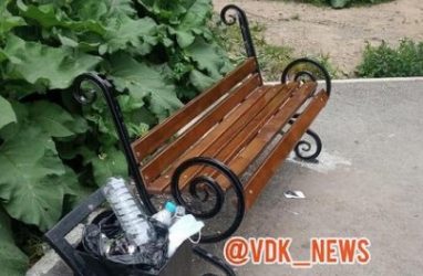 «Воруют всё»: вандалы атаковали один из парков Владивостока