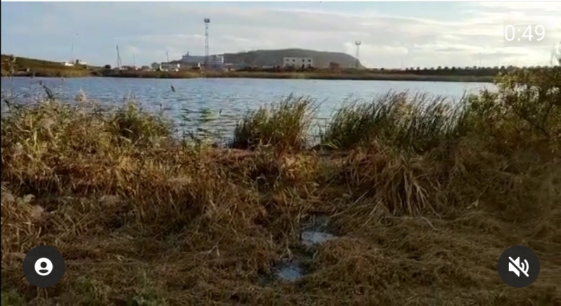 Во Владивостоке в озеро стекают фекалии, сообщают очевидцы — видео