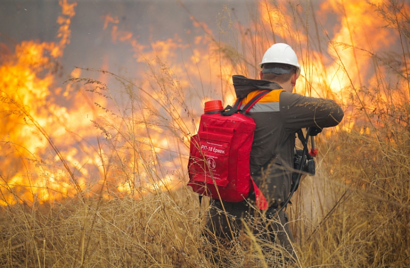 Природный пожар площадью 150 га бушевал в Приморье