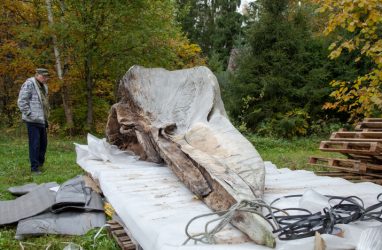 Череп гигантского кашалота «гостил» во Владивостоке