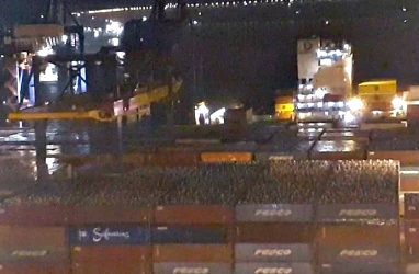 Огромные скопления чаек на контейнерах поразили жителей Владивостока