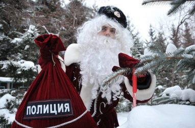 Полиция Приморья предложила юным инстаграмерам написать Деду Морозу