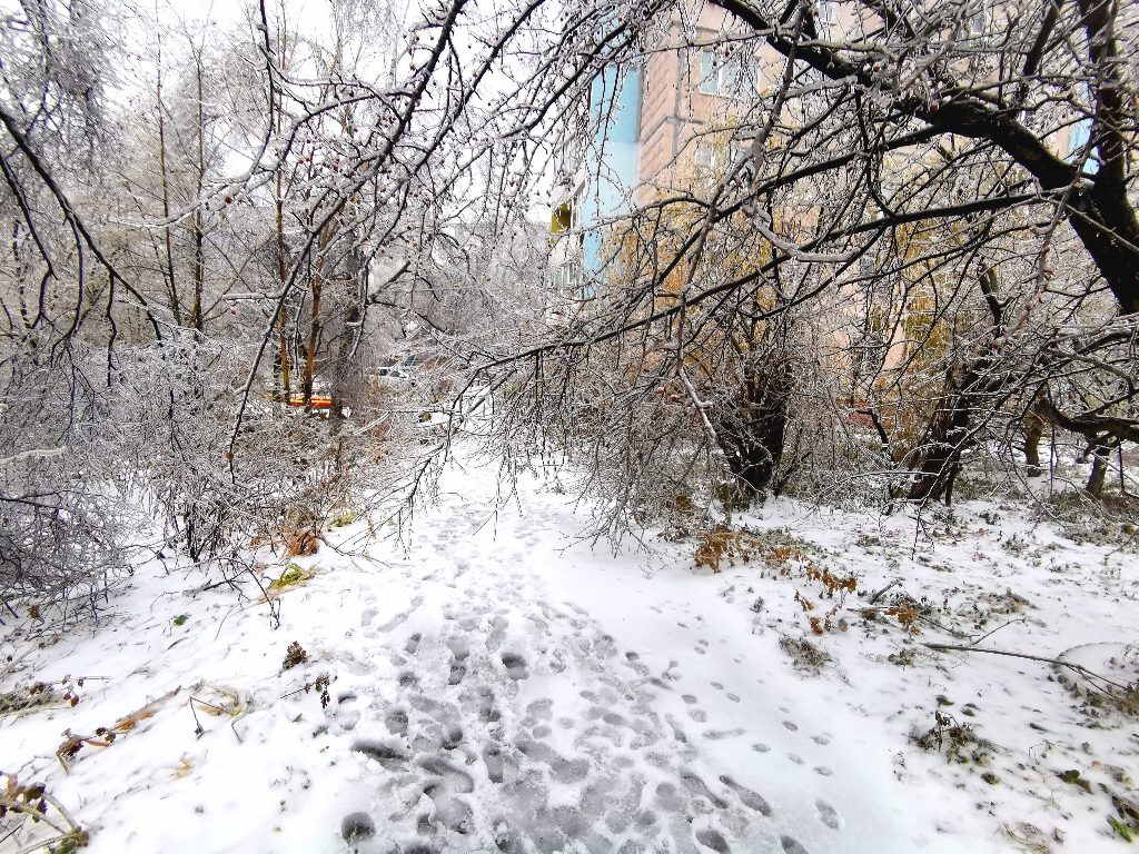 Во Владивостоке начался снегопад: что будет дальше